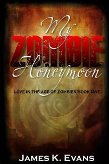 Love in the Age of Zombies (Book 1): My Zombie Honeymoon Read online
