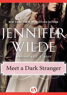 Meet a Dark Stranger Read online