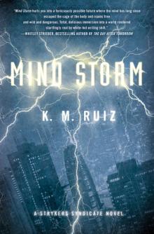 Mind Storm Read online