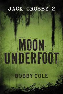 Moon Underfoot