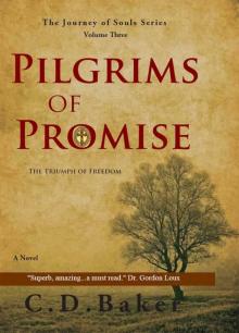 Pilgrims of Promise: A Novel (The Journey of Souls Series)