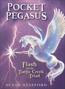 Pocket Pegasus Read online