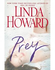 Prey: A Novel Read online