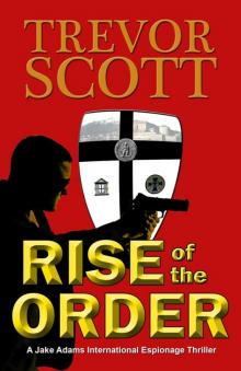 Rise of the Order Read online