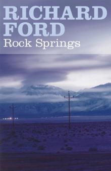 Rock Springs Read online
