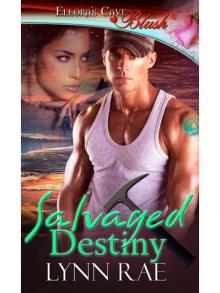 Salvaged Destiny Read online