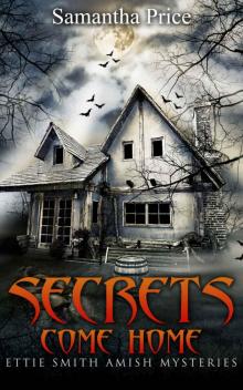 Secrets Come Home (Amish Mystery Suspense): Amish Murder Mystery (Ettie Smith Amish Mysteries Book 1) Read online