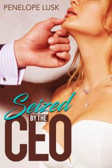 Seized by the CEO: A sexy, submissive interview story (Interviewed by the CEO Book 1)