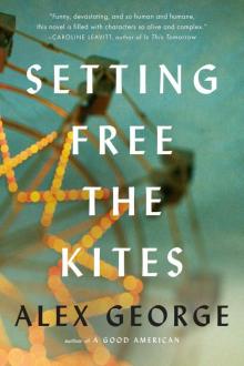 Setting Free the Kites Read online