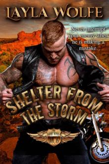 Shelter From The Storm (The Bare Bones MC Book 6) Read online