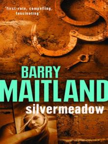 Silvermeadow Read online
