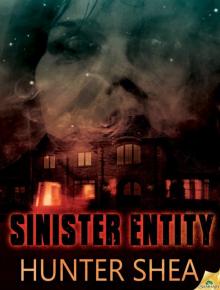 Sinister Entity Read online