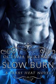 Slow Burn: A Texas Heat Novel Read online