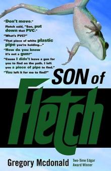 Son of Fletch Read online