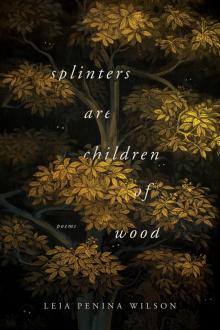Splinters Are Children of Wood Read online