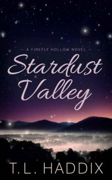 Stardust Valley (Firefly Hollow Book 9) Read online