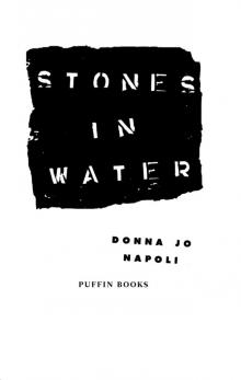 Stones in Water Read online
