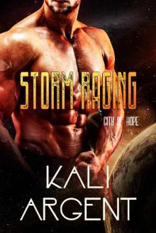 Storm Raging (City of Hope Book 4) Read online