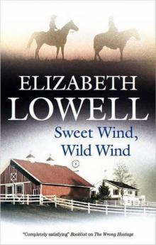 Sweet Wind, Wild Wind Read online