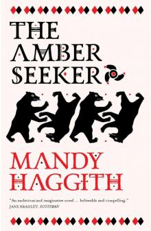 The Amber Seeker Read online
