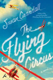 The Flying Circus Read online