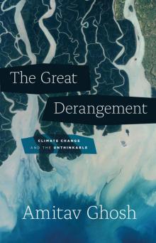 The Great Derangement Read online
