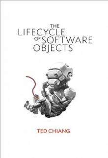 The Lifecycle of Software Objects Read online