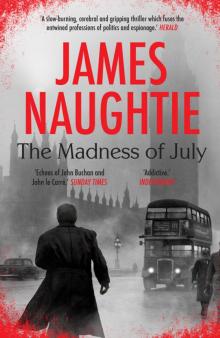 The Madness of July Read online