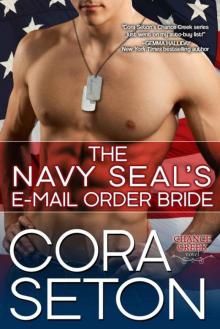 The Navy SEAL's E-Mail Order Bride (Heroes of Chance Creek) Read online