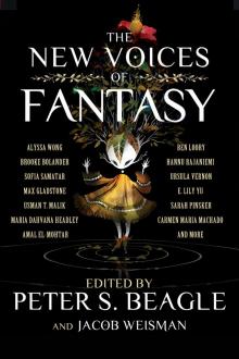 The New Voices of Fantasy Read online