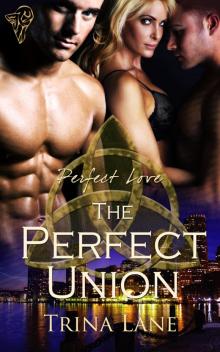 The Perfect Union Read online