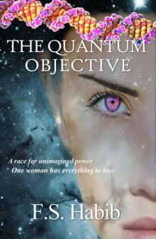 The Quantum Objective Read online