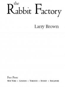 The Rabbit Factory: A Novel Read online