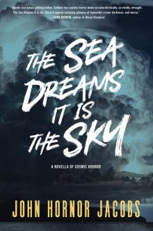 The Sea Dreams It Is the Sky Read online