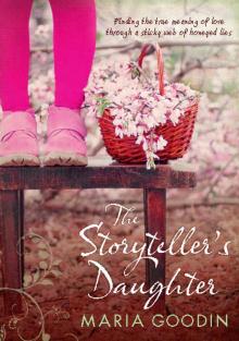 The Storyteller's Daughter Read online