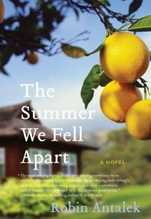 The Summer We Fell Apart Read online