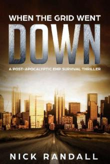 The Surviving The EMP Trilogy (Book 1): When The Grid Went Down