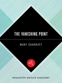 The Vanishing Point Read online