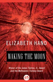 Waking the Moon Read online