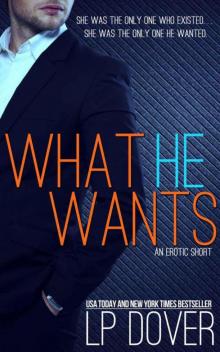 What He Wants: Trusting You prequel novella