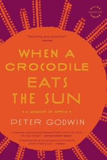 When a Crocodile Eats the Sun Read online