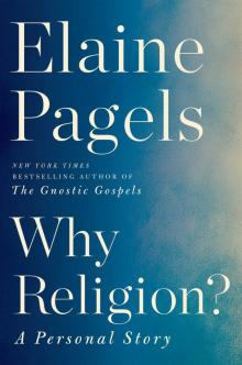 Why Religion? Read online