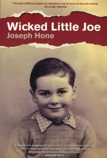 Wicked Little Joe Read online