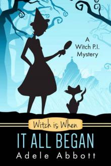 Witch Is When It All Began (A Witch P.I. Mystery Book 1) Read online