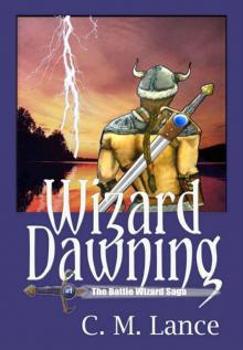 Wizard Dawning Read online