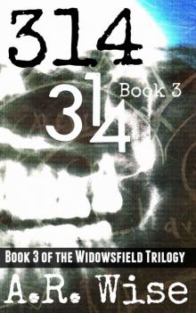 314 Book 3 (Widowsfield Trilogy) Read online