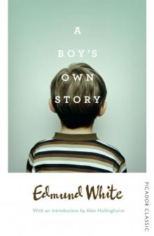 A Boy's Own Story Read online