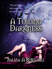 A Toiling Darkness Read online