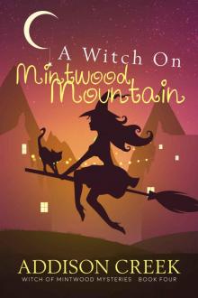 A Witch on Mintwood Mountain (Witch of Mintwood Book 4) Read online