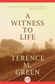 A Witness to Life (Ashland, 2) Read online